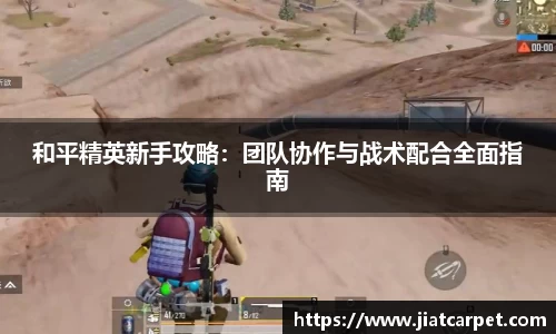 和平精英新手攻略：团队协作与战术配合全面指南